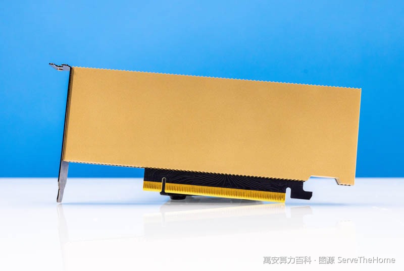 NVIDIA L4 实拍